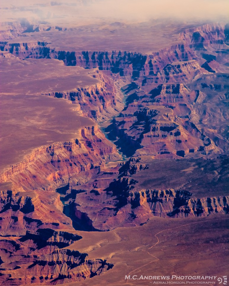 Branching Out - Little Colorado