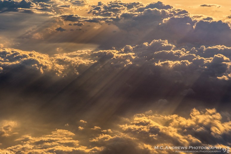 Morning Radiance-7000