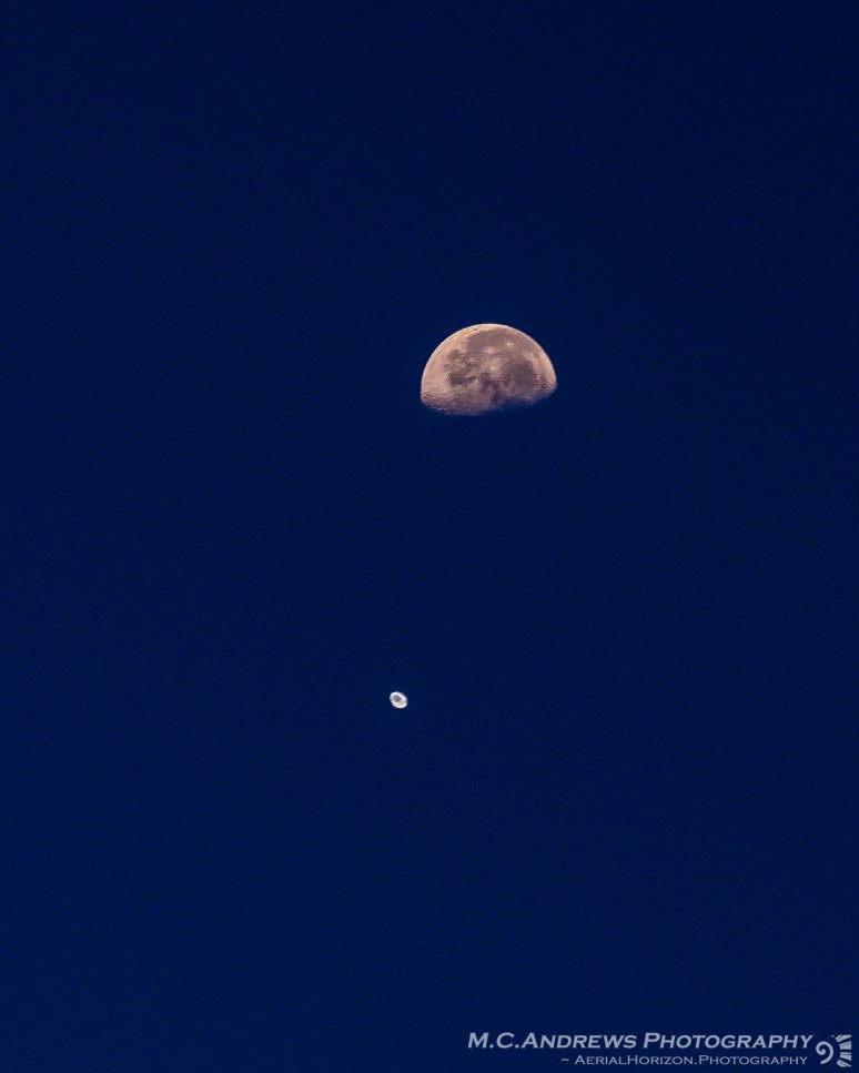 freeflight - moon and balloon-2738