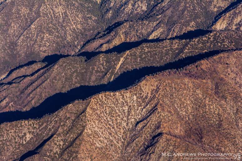 abstract-landscape-treeline-1413