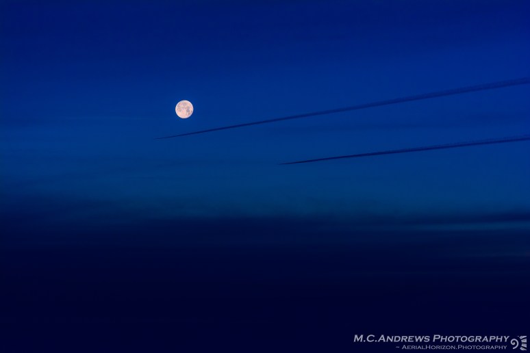 following-the-night-8599