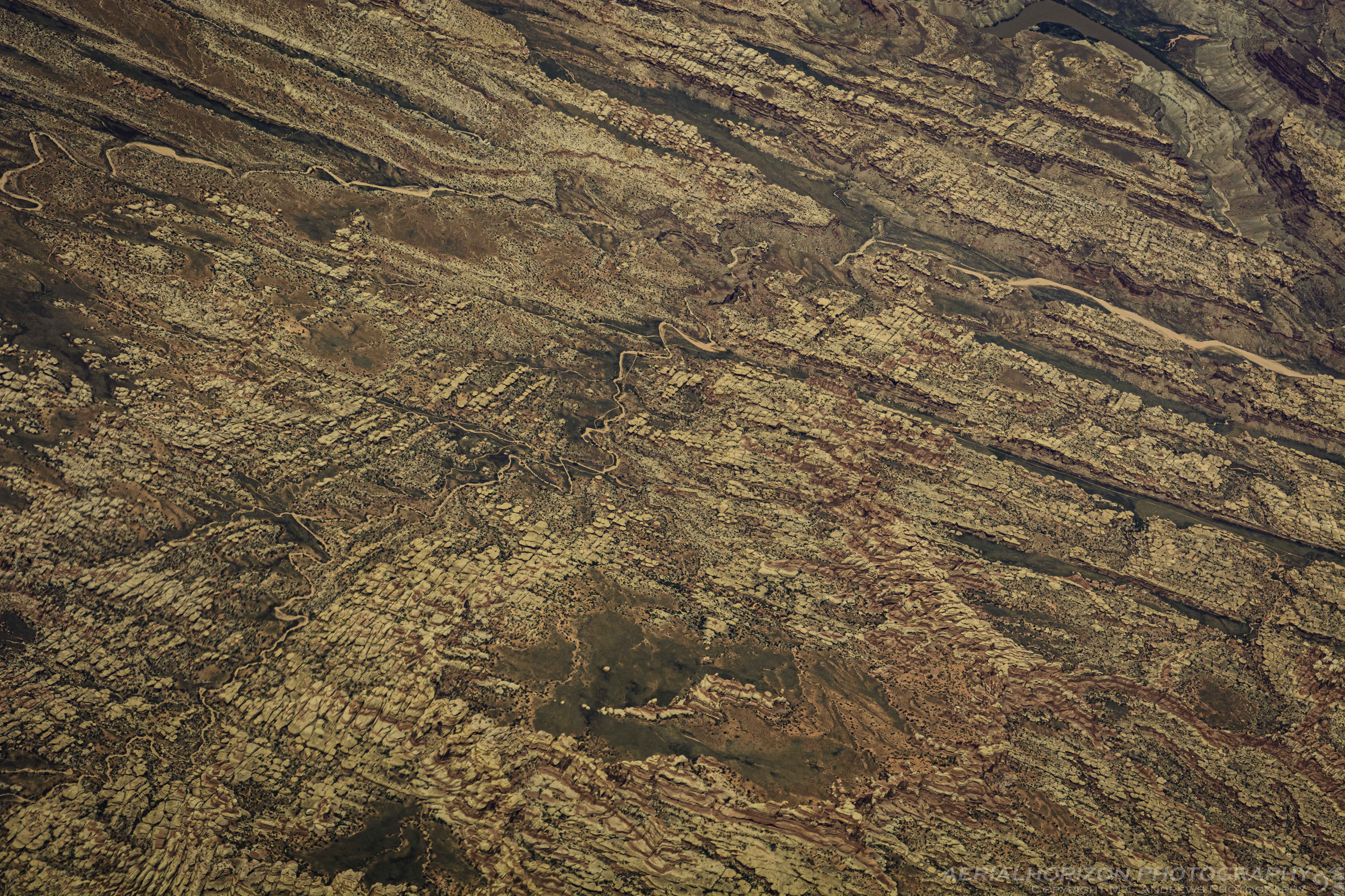 Segmented Landscape-2184