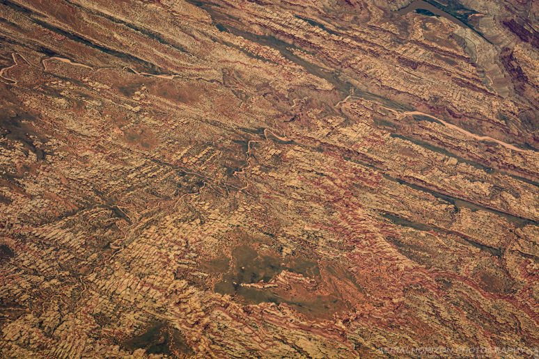 Segmented Landscape-2184